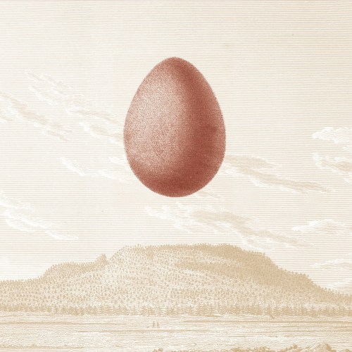 egone-afhw-cover_bc-01_sq